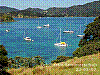 dsc08201_8x6.jpg