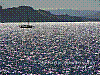 dsc08236_8x6.jpg
