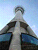 dsc01515_8x6.jpg
