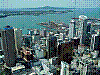 dsc01564_8x6_hll-auto-frbkrrt_ktrh.jpg