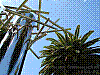 dsc08060_8x6.jpg