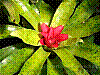 dsc08076_8x6.jpg