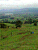 dsc01800_8x6_ktrh.jpg