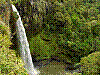 dsc07987_8x6.jpg