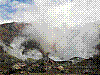 dsc09601_8x6.jpg