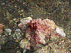 dsc09642_8x6.jpg