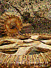dsc09650_8x6.jpg