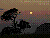 dsc09704_8x6.jpg