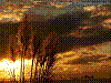 dsc09865_8x6.jpg