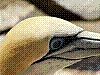 dsc07205_8x6.jpg