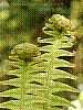 dsc07702_8x6.jpg
