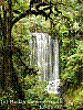 dsc07807_8x6.jpg