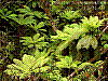 dsc07835_8x6.jpg