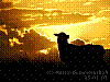 dsc09048_8x6.jpg