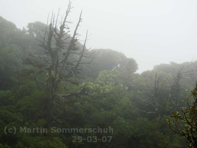 dsc09513_8x6.jpg