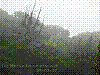 dsc09513_8x6.jpg