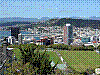 dsc02127_8x6.jpg