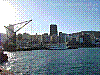 dsc02162_8x6.jpg