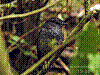 dsc02370_8x6_hllh_saeh.jpg