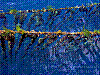 dsc02608_8x6_hll-auto-frbkrrkt-n_ktrh_saeh.jpg