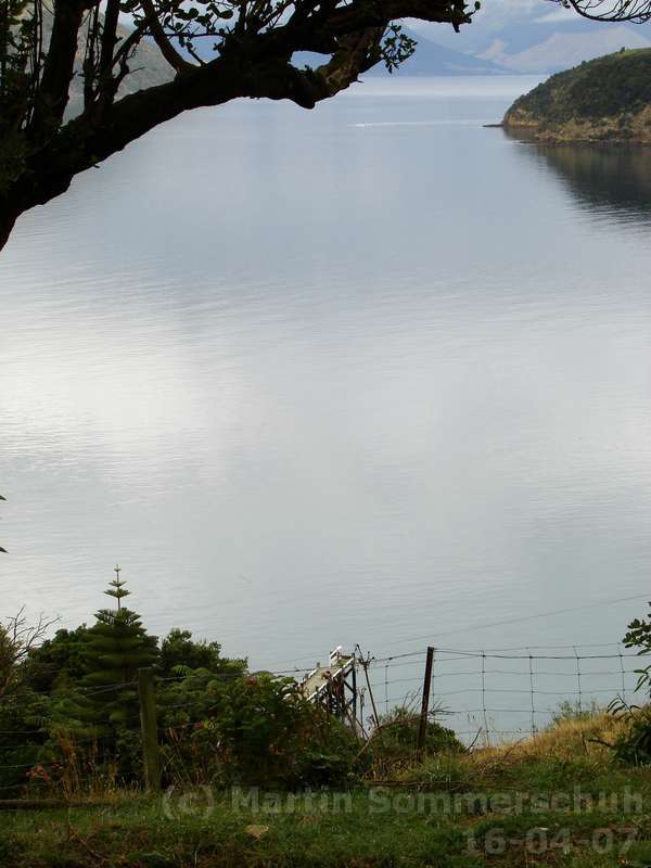 dsc00014_8x6.jpg