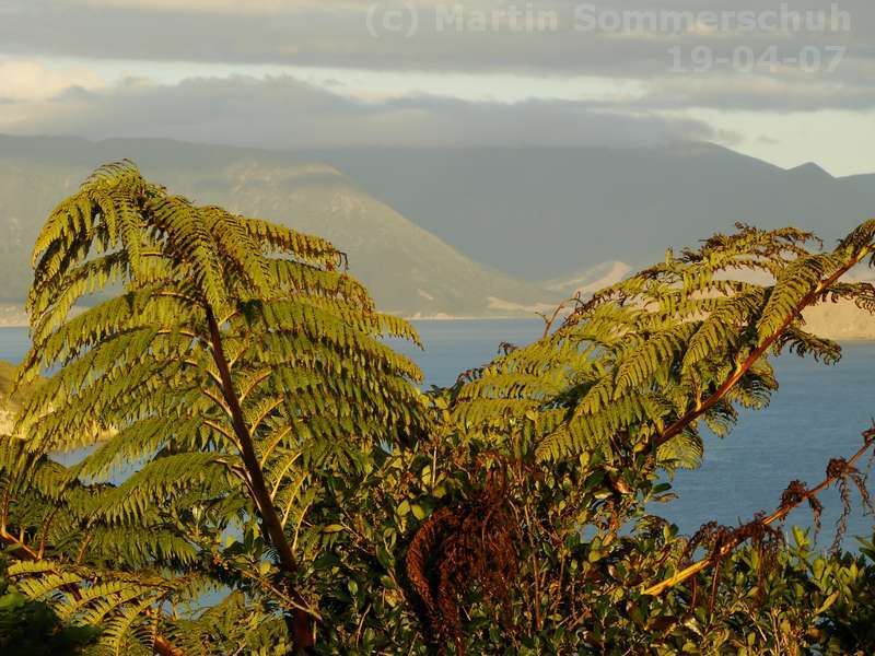 dsc00170_8x6.jpg