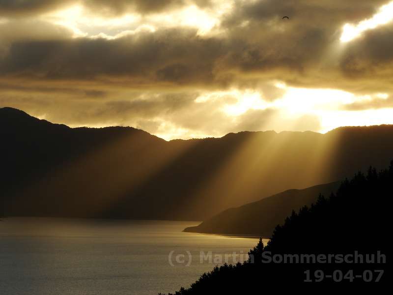 dsc00178_8x6.jpg