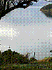 dsc00014_8x6.jpg