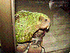 dsc00018_8x6.jpg