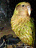 dsc00032_8x6.jpg