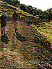 dsc00036_8x6.jpg