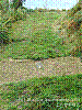 dsc00060_8x6.jpg