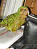 dsc00073_8x6.jpg