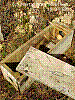 dsc00089_8x6.jpg