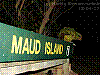 dsc00109_8x6.jpg