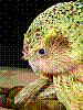 dsc00115_8x6.jpg