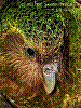 dsc00129_8x6_raugen_ktrh.jpg