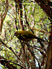 dsc00142_8x6.jpg