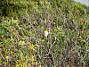 dsc00146_8x6.jpg