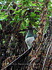 dsc00156_8x6.jpg