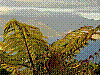 dsc00170_8x6.jpg