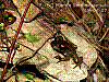 dsc00201_8x6_ktrh.jpg