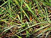 dsc00206_8x6.jpg