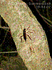 dsc00220_8x6.jpg