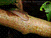 dsc00230_8x6.jpg