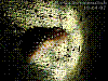 dsc00232_8x6.jpg