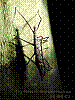 dsc00239_8x6.jpg