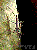 dsc00241_8x6.jpg