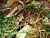 dsc00248_8x6.jpg