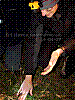 dsc00255_8x6.jpg